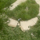 Illustration for article titled Gunman in Discovery TV building demands better programming from the science network